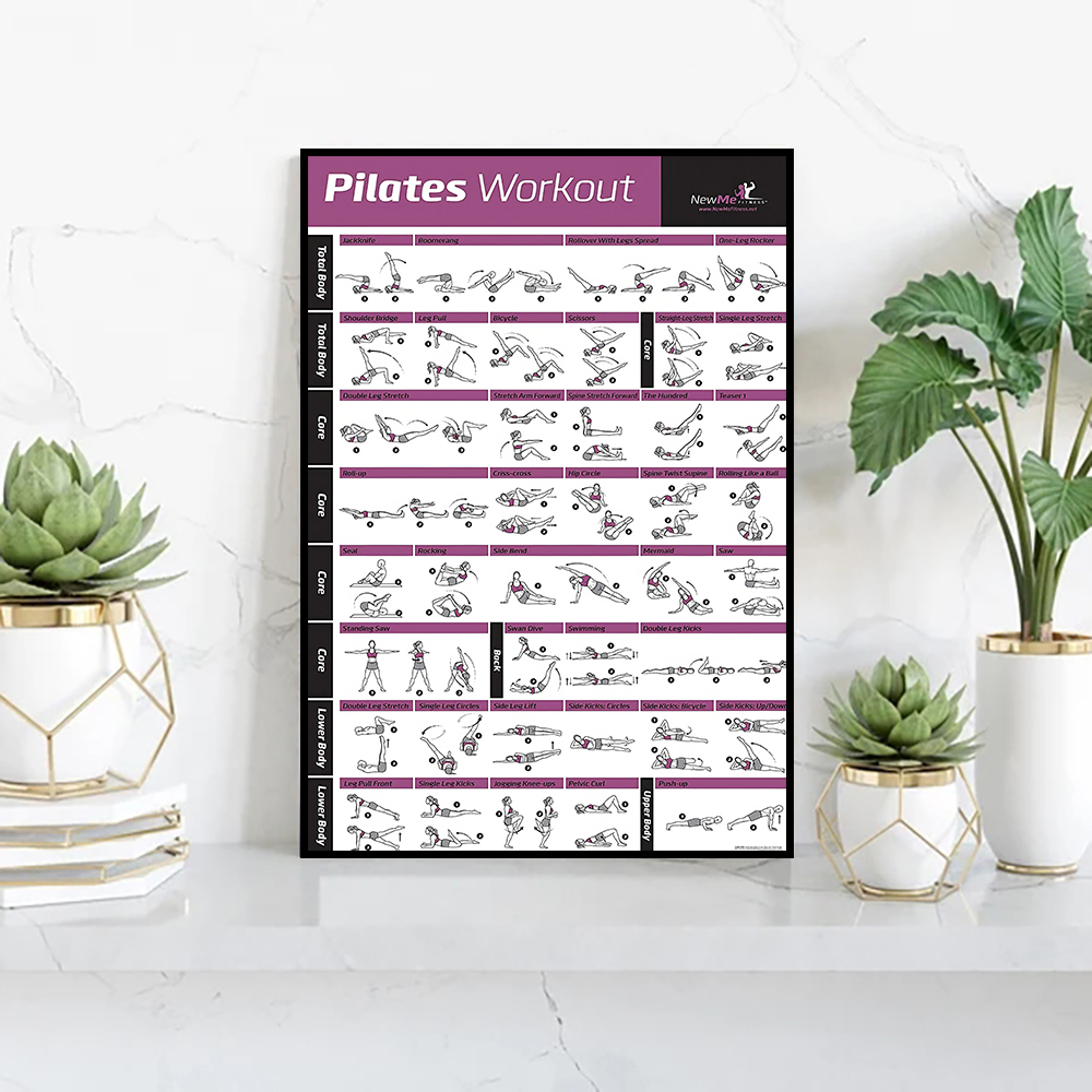 Pilates Training Chart Canvas  - Pilates Yoga Gifts 评论和价格