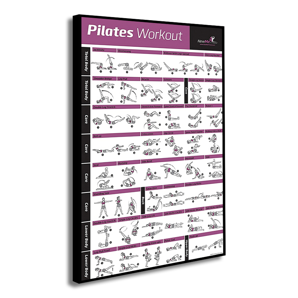 Pilates Training Chart Canvas  - Pilates Yoga Gifts 评论和价格
