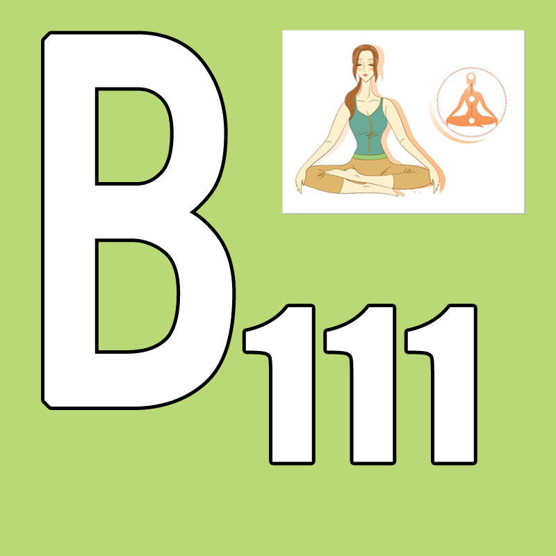 Hot Sale Latest Release 2026.Q - Pilates Yoga And Tai Chi 评论和价格